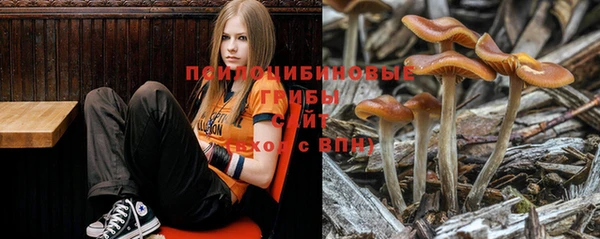твердый Белоозёрский