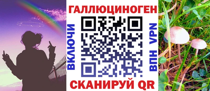 ссылка на мегу маркетплейс  магазин продажи   Жердевка  Галлюциногенные грибы Psilocybe 